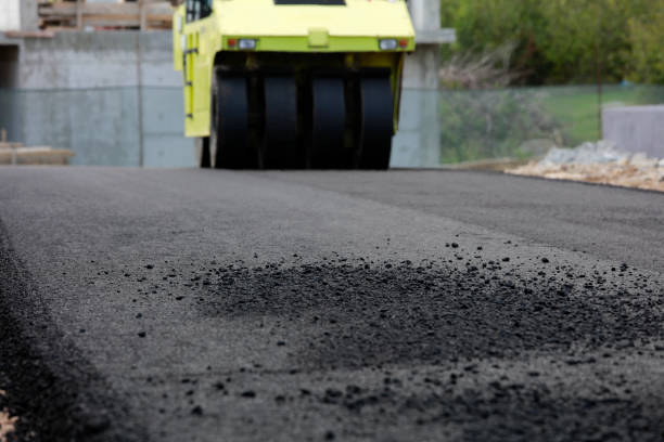 Best Local Driveway Pavers  in Seco Mines, TX