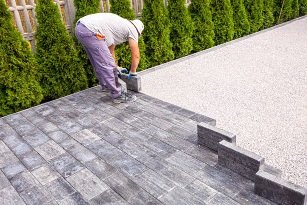 Best Driveway Paving Contractor  in Seco Mines, TX
